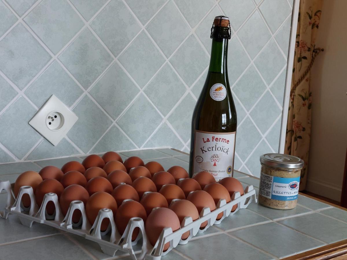 Ty Ann Maison Avec Jardin Clos De Mur, A Proximite Des Commerces Et A 3Km Des Plages Penvénan Εξωτερικό φωτογραφία